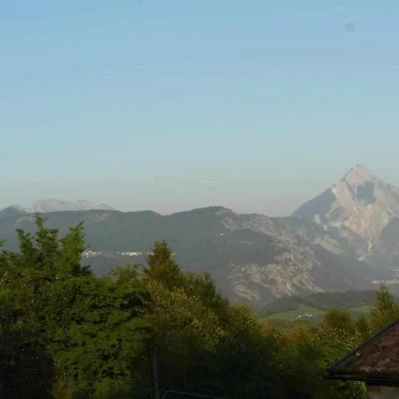 Il Bearc * Feltrone